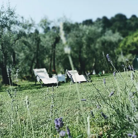 Bed & Breakfast Al Gattosaggio *